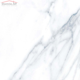 Керамогранит Гранитея Пайер Серый G283 MR (60х60) Матовый